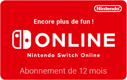 Nintendo Switch 12 months France