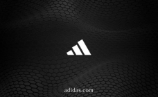 ADIDAS (NL) 5-500EUR