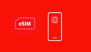 eSim 
